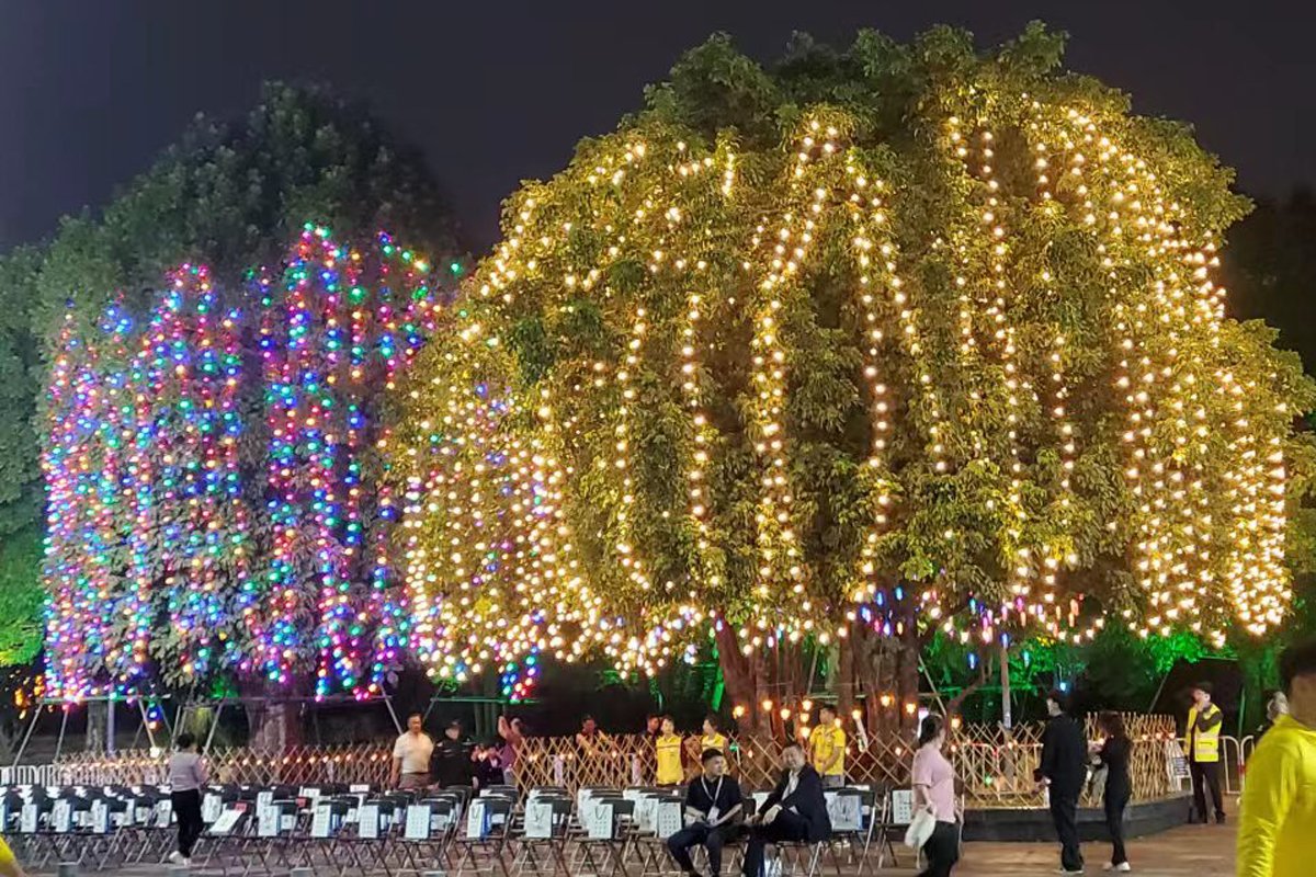 Outdoor Light Strings Displays
